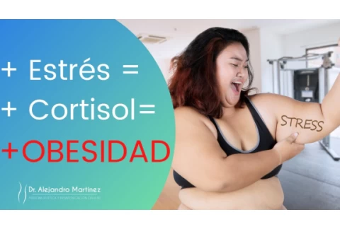 ¿El Estrés causa Obesidad? +Estrés= +Cortisol= +Obesidad