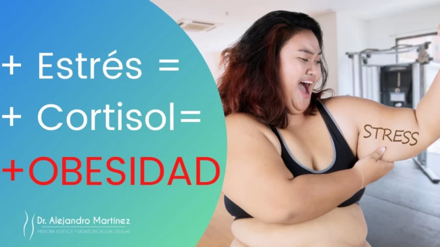 Imagen portada ¿El Estrés causa Obesidad? +Estrés= +Cortisol= +Obesidad