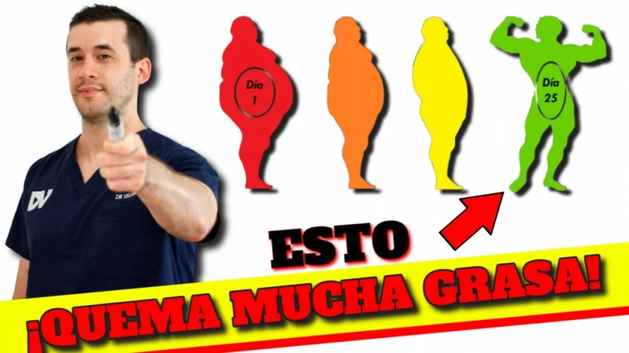 Imagen portada ¡QUE EL MUNDO LO SEPA! Cómo perder peso, barriga y curar la inflamación