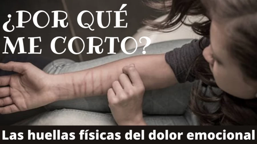 Imagen portada ¿CUÁL ES LA CAUSA DEL CUTTING?