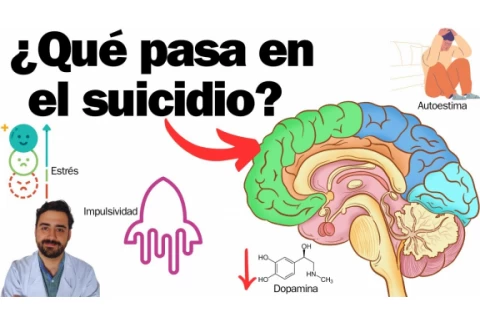 ¿Qué pasa en el cerebro de alguien que se suicida?