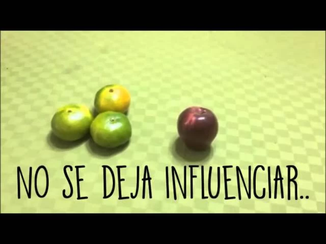 Imagen portada Autenticidad