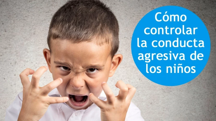 Imagen portada Agresividad infantil, ¿cómo controlarla?