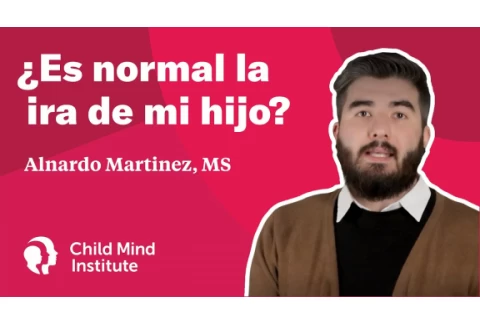 ¿Es normal la ira de mi hijo?