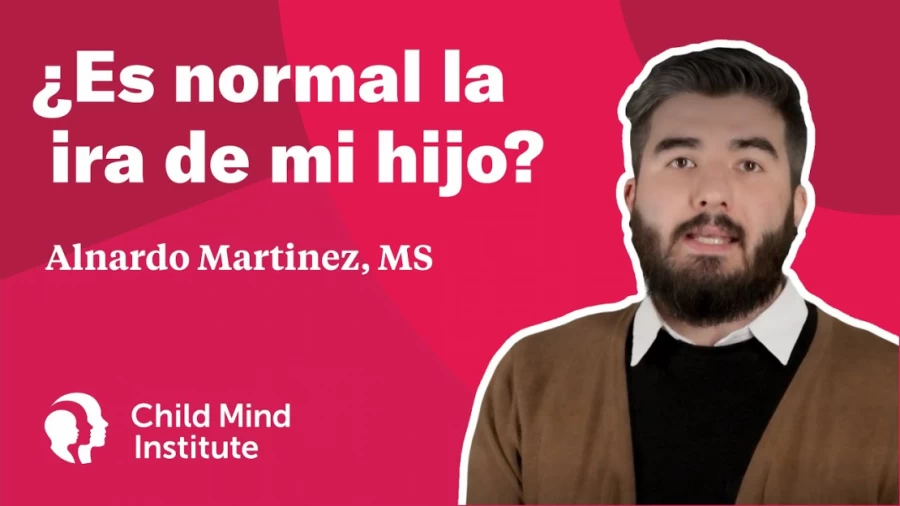 Imagen portada ¿Es normal la ira de mi hijo?