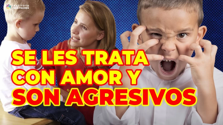 Imagen portada CONDUCTAS AGRESIVAS EN NIÑOS QUE SON TRATADOS CON AMOR - ¿POR QUÉ SUCEDE ESTO?, ¿CÓMO CORREGIRLO?