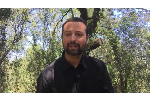 ¿ Cómo escoger el Maestro de Reiki adecuado ?