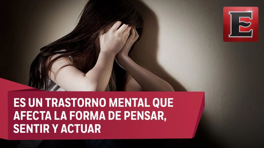 Imagen portada Esquizofrenia: causas, síntomas y tratamiento