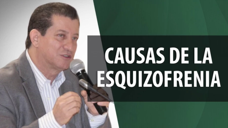 Imagen portada Causas de la Esquizofrenia