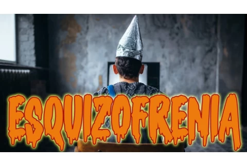 La esquizofrenia de tipo paranoide