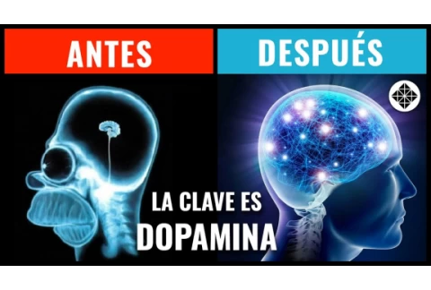 Cómo Ser Más Disciplinado • Domina tu DOPAMINA y Construye Motivación