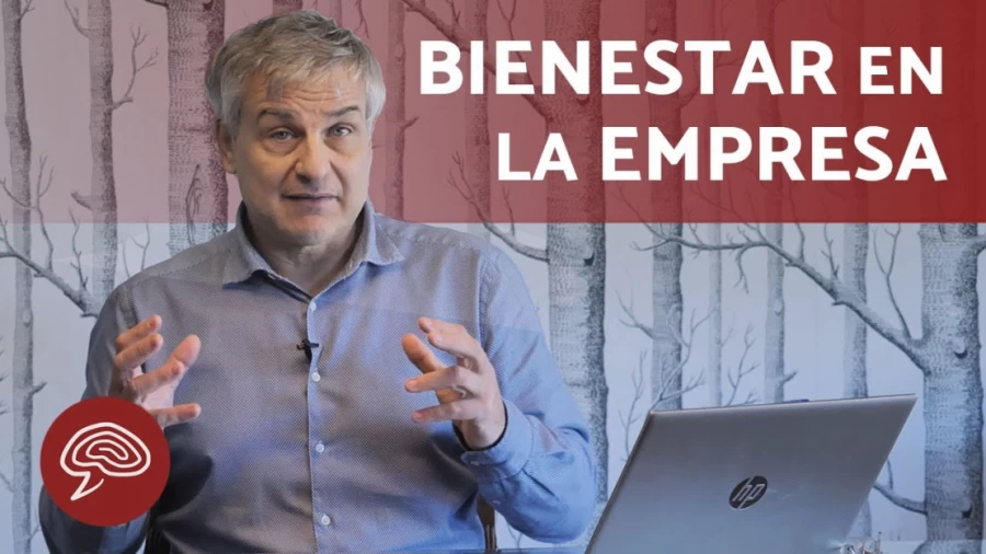 Imagen portada Cómo MEJORAR el BIENESTAR LABORAL ✅ (Las Relaciones Personales en el Trabajo)