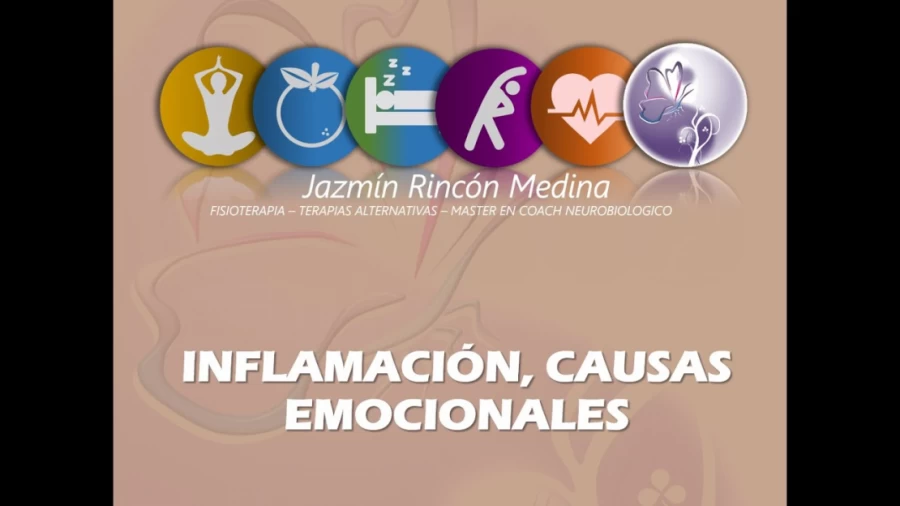Imagen portada INFLAMACIÓN, causas emocionales