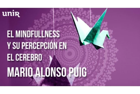 Mario Alonso Puig - El Mindfulness y su percepción en el cerebro | #UNIRmarioalonsopuig