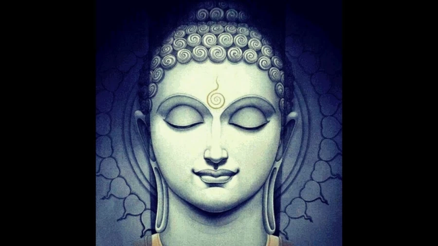 Imagen portada La práctica de la Meditación Vipassana