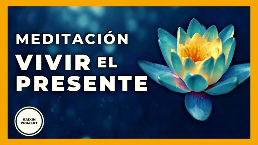 Imagen portada Meditacion ZEN 🔘 Centrar la Mente y Vivir el Presente. Atencion Plena Mindfulness