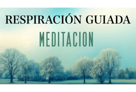 Meditación Pranayama Ejercicios de Respiración