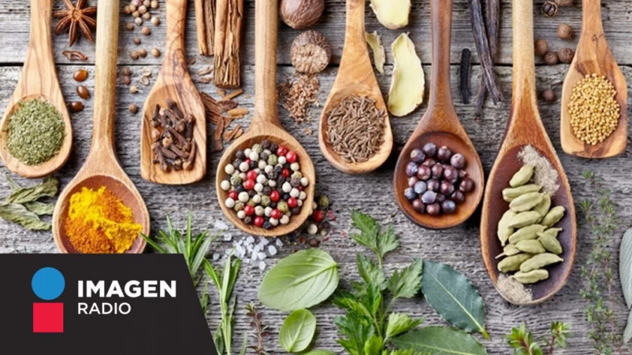 Imagen portada Ayurveda ¿Qué es y cuáles son sus beneficios? / Bien y Saludable