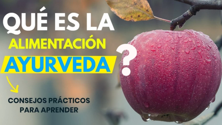 Imagen portada ✅ Que es la [DIETA] AYURVÉDICA?? 👉 DESCUBRE la [Alimentación Ayurveda]