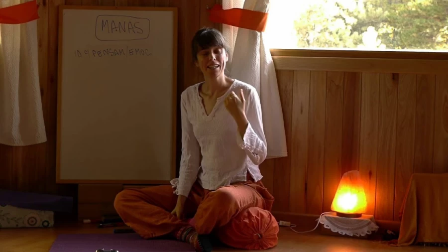 Imagen portada Ayurveda y la Mente