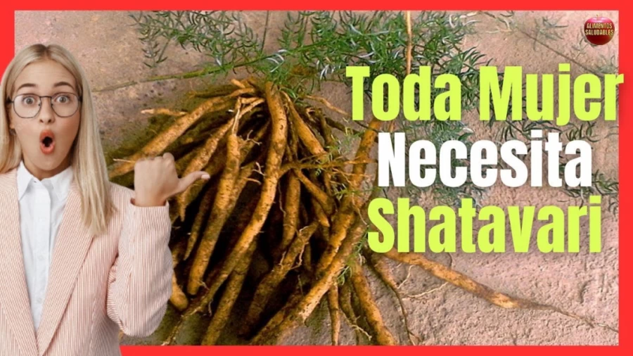 Imagen portada SHATAVARI EL MEJOR REGULADOR HORMONAL FEMENINO NATURAL DE LA MEDICINA AYURVEDA