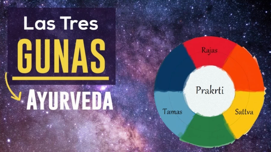 Imagen portada ✅ AYURVEDA | Conoce las 3 GUNAS o estados mentales | Los 🛑 [Humores Mentales]