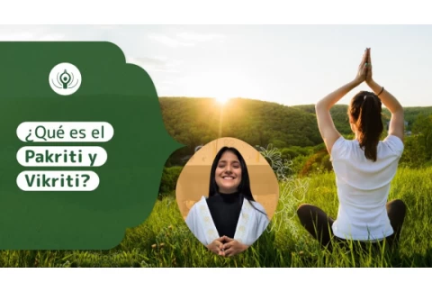 ¿Qué es el Pakriti y Vikriti?