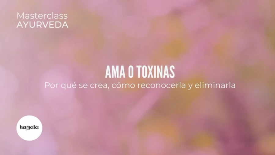 Imagen portada ¿Por qué se generan las toxinas?: Ama y Agni | Kamala Ayurveda