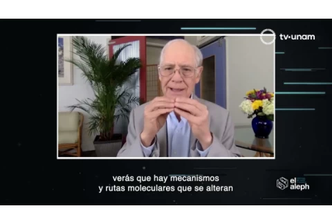 EL ALEPH 2021. Investigación científica de meditación trascendental y ayurveda