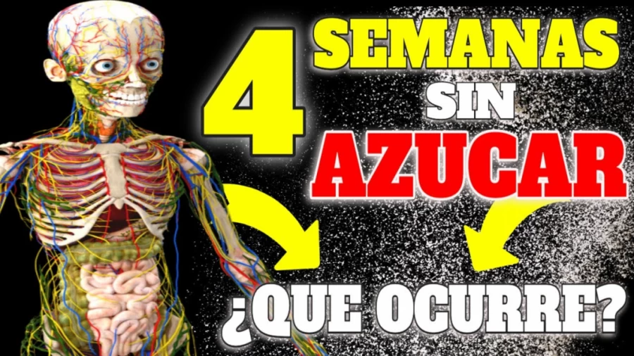 Imagen portada ¡4 SEMANAS sin AZUCAR pueden CAMBIAR tu METABOLISMO!: INCREIBLES RESULTADOS en tu SALUD