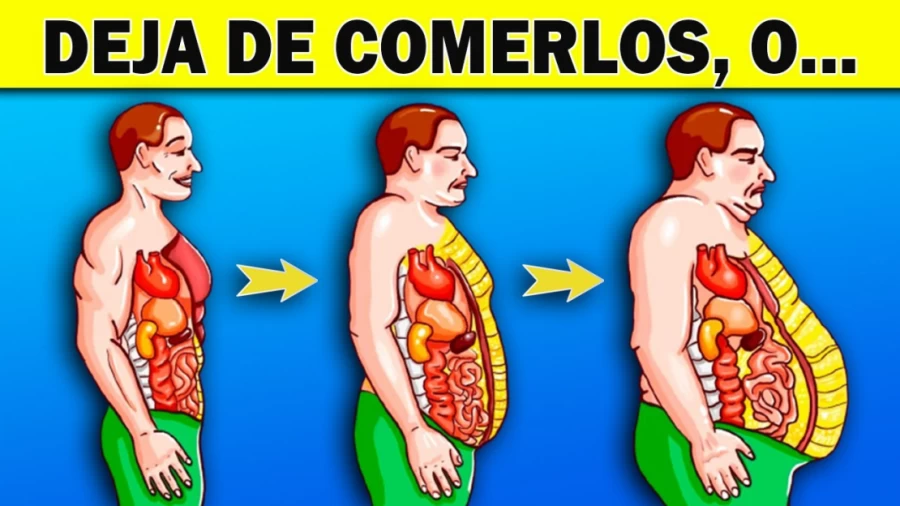 Imagen portada 😱 10 + 1 alimentos que 𝗗𝗘𝗕𝗘𝗦 𝗗𝗘𝗝𝗔𝗥 𝗗𝗘 𝗖𝗢𝗠𝗘𝗥 para PERDER GRASA ⛔ o NUNCA LO LOGRARÁS ⛔