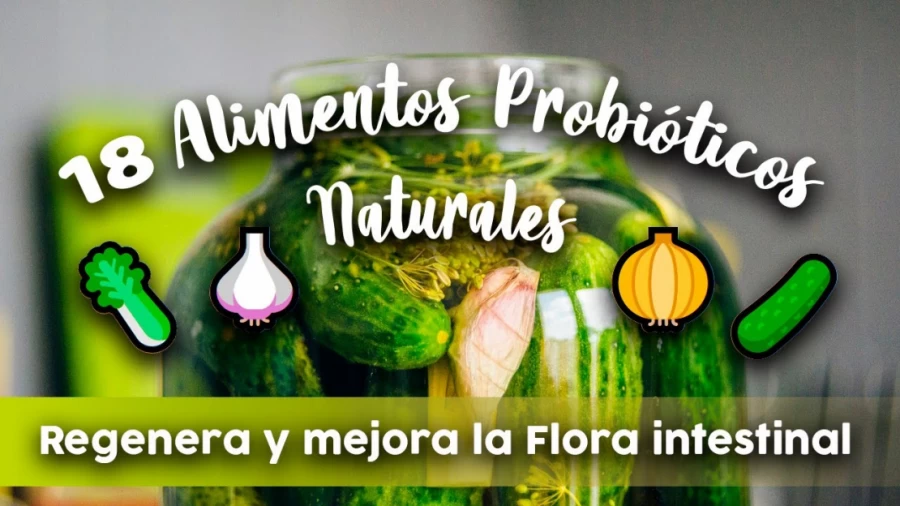 Imagen portada 18 ALIMENTOS PROBIÓTICOS naturales | Regenera y mejora la Flora intestinal