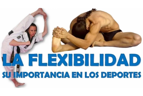 Los ejercicios de elongación y flexibilidad y su importancia en el deporte