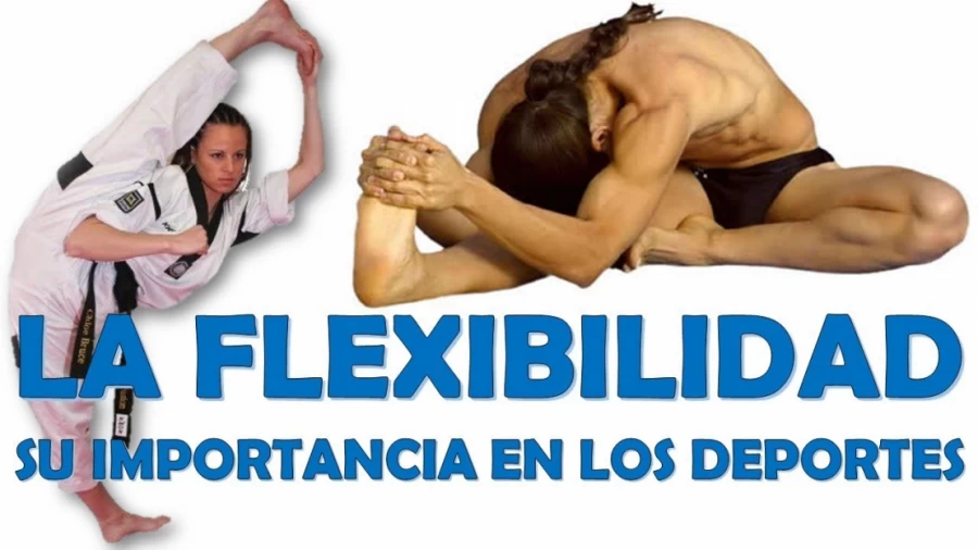 Imagen portada Los ejercicios de elongación y flexibilidad y su importancia en el deporte