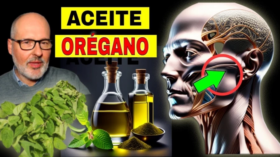 Imagen portada ENFERMEDADES que SANAN con ACEITE de ORÉGANO (CÓMO USARLO)