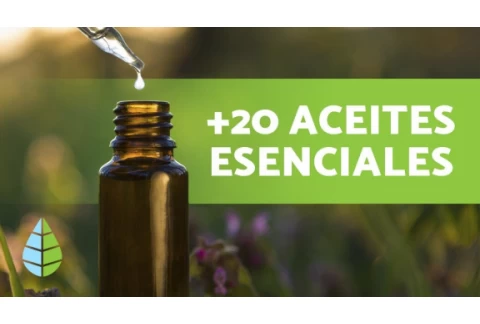 ACEITES ESENCIALES 🪔 Qué son, Propiedades y Usos