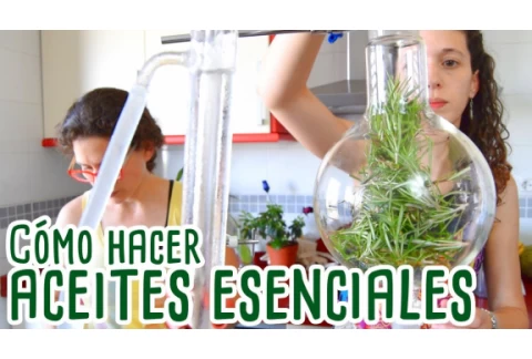 CÓMO HACER ACEITES ESENCIALES  EN CASA