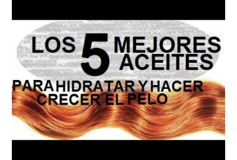 Los 5 mejores aceites para hidratar y hacer crecer el cabello