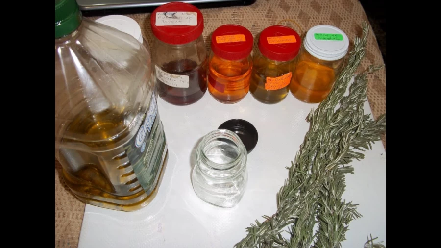 Imagen portada Como hacer tus aceites esenciales caseros