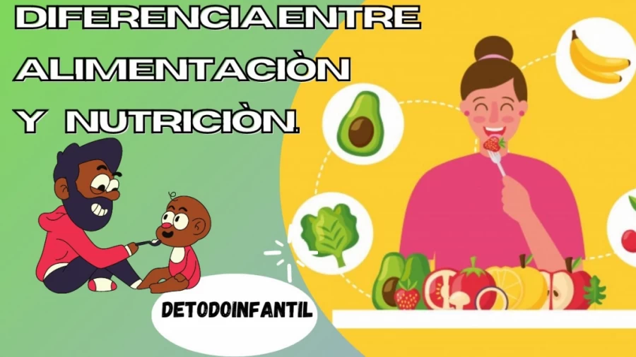 Imagen portada DIFERENCIA ENTRE ALIMENTACIÓN Y NUTRICIÓN