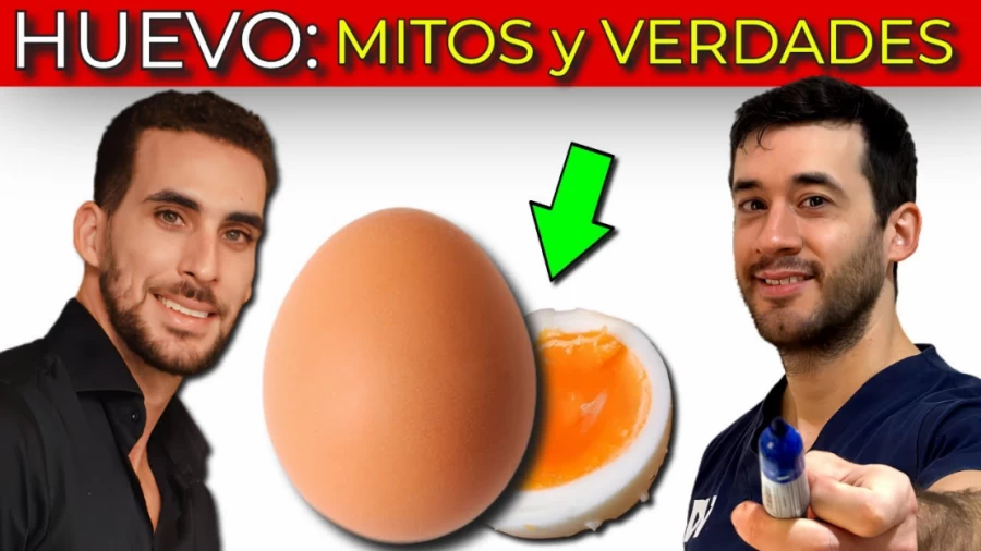 Imagen portada HUEVO: MITOS y VERDADES| VENTAJAS y DESVENTAJAS de COMER HUEVO