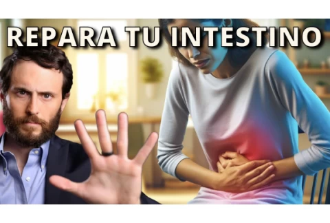 Cómo Reparar el SIBO y tu Salud Intestinal