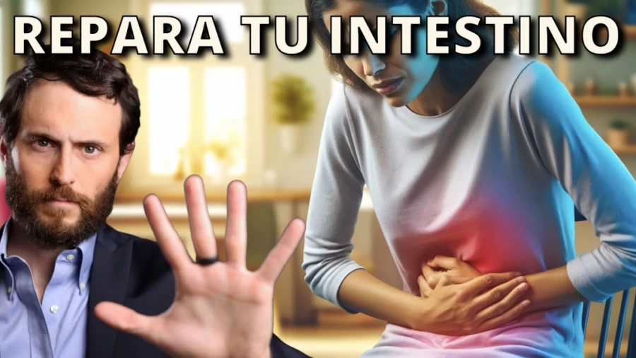 Imagen portada Cómo Reparar el SIBO y tu Salud Intestinal
