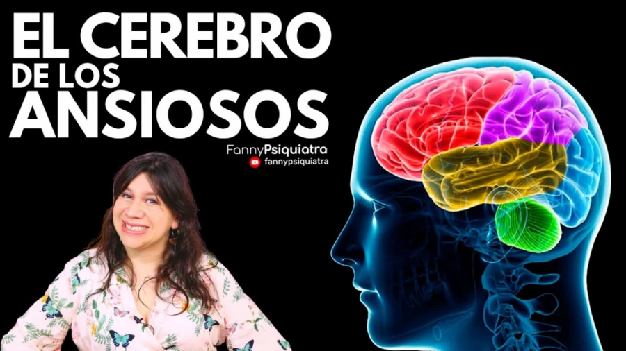 Imagen portada EL CEREBRO DE LOS ANSIOSOS
