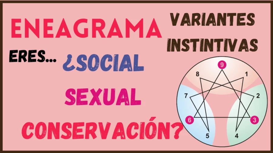 Imagen portada LOS 3 INSTINTOS DEL ENEAGRAMA EXPLICADOS