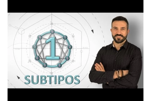 Eneatipo 1 - SUBTIPOS