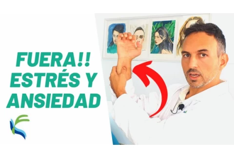 DIGITO PUNTURA para la ANSIEDAD y ESTRES Acupuntura | Fisiolution