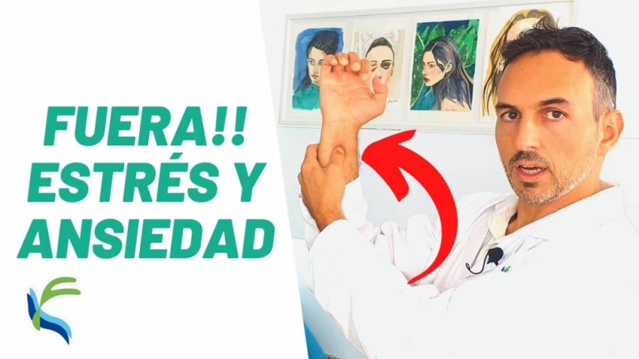 Imagen portada DIGITO PUNTURA para la ANSIEDAD y ESTRES Acupuntura | Fisiolution