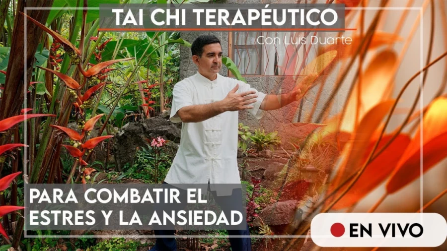 Imagen portada Tai Chi Terapeutico para combatir el ESTRES y  la ANSIEDAD 🙂