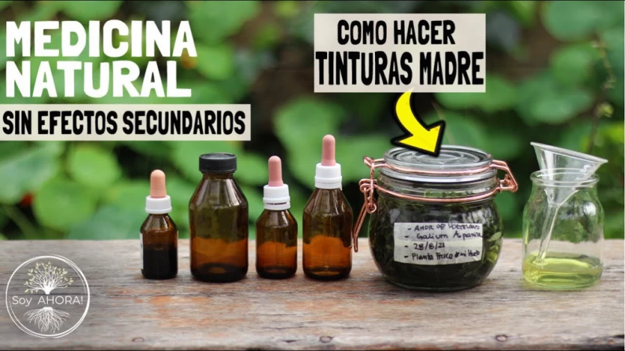 Imagen portada COMO HACER TINTURAS MADRE | Medicina Natural | Fitoterapia | Herbolaria | Tintura de Galium aparine